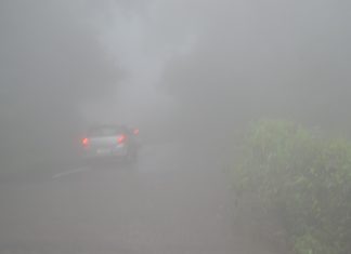 Wayanad the Land of Paddy Fields