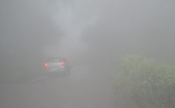 Wayanad the Land of Paddy Fields