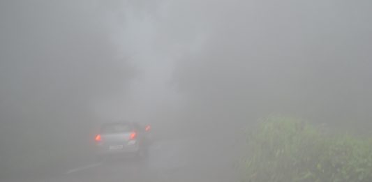 Wayanad the Land of Paddy Fields