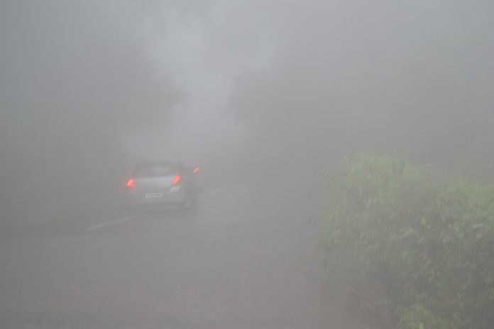Wayanad the Land of Paddy Fields