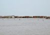 The Floating Village of Siem Reap