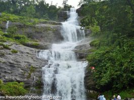 Savored The Best of Munnar