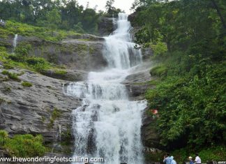 Savored The Best of Munnar