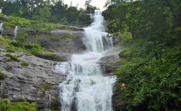 Savored The Best of Munnar