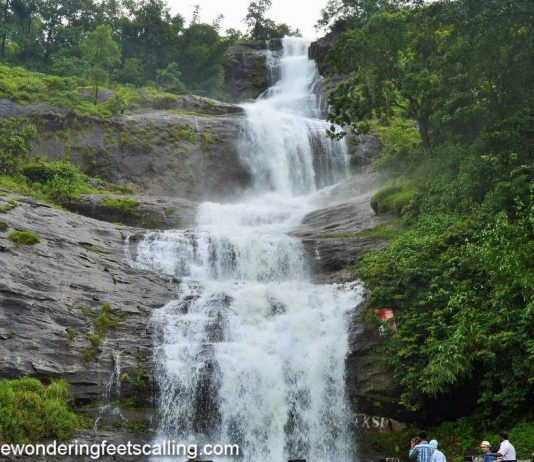 Savored The Best of Munnar