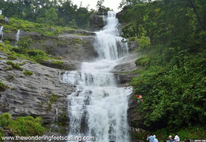 Savored The Best of Munnar
