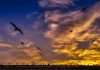 God Created Dusk to Give Way to the Dawn