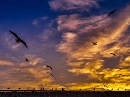 God Created Dusk to Give Way to the Dawn