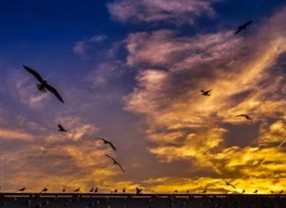 God Created Dusk to Give Way to the Dawn