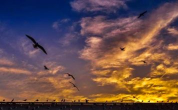 God Created Dusk to Give Way to the Dawn