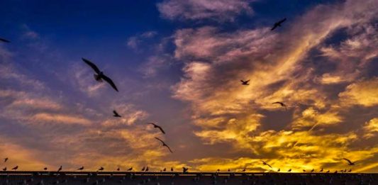 God Created Dusk to Give Way to the Dawn
