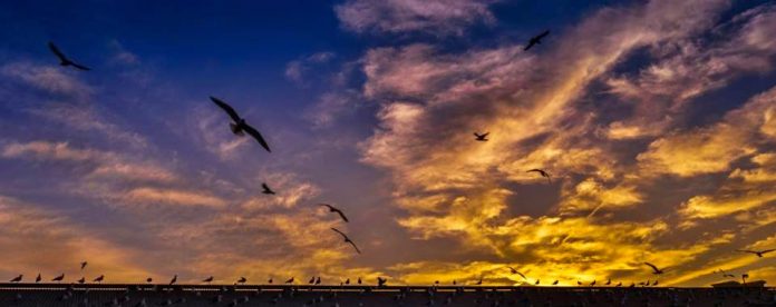 God Created Dusk to Give Way to the Dawn