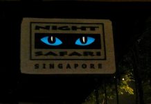 Night Safari in Singapore