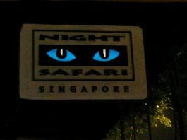 Night Safari in Singapore