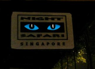 Night Safari in Singapore