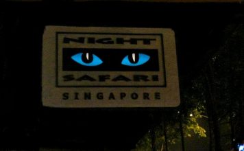 Night Safari in Singapore