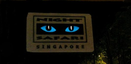 Night Safari in Singapore