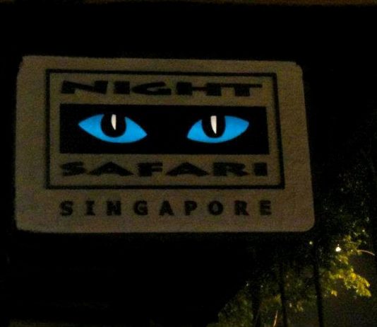 Night Safari in Singapore