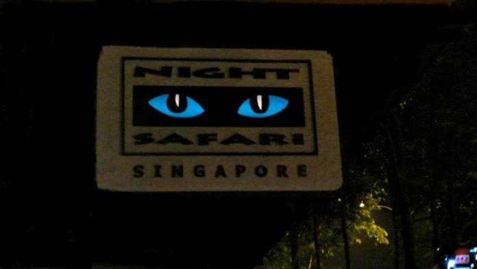 Night Safari in Singapore