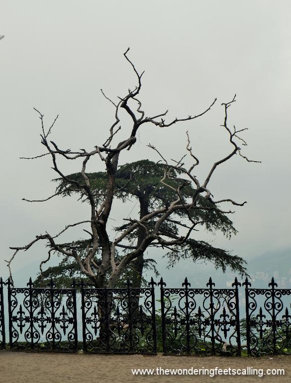 The Unforgettable Himachal- Shimla
