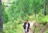 Day 1: Trekking in Sagada, Mountain Province