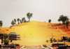 The Bedouin Way in the Modern Day