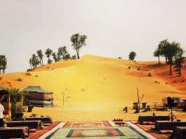 The Bedouin Way in the Modern Day