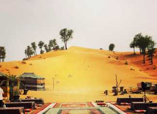 The Bedouin Way in the Modern Day