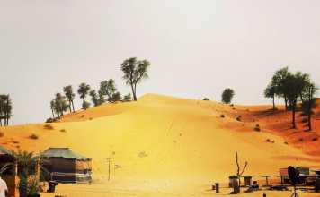 The Bedouin Way in the Modern Day