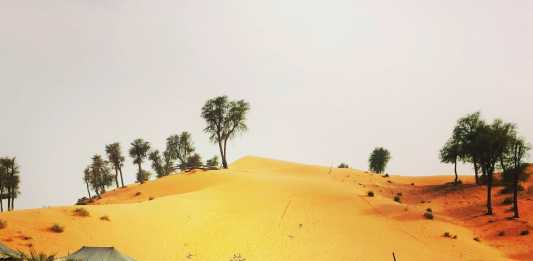 The Bedouin Way in the Modern Day