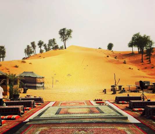 The Bedouin Way in the Modern Day