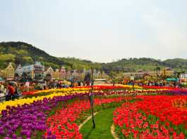Let’s Wander and Wonder in Everland!