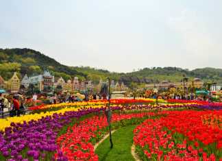 Let’s Wander and Wonder in Everland!