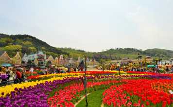 Let’s Wander and Wonder in Everland!