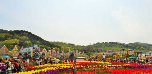 Let’s Wander and Wonder in Everland!