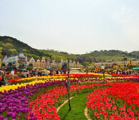 Let’s Wander and Wonder in Everland!