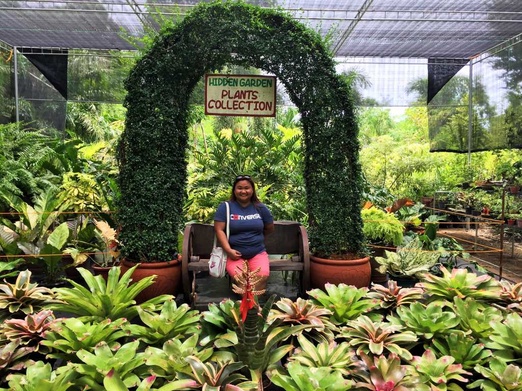 Hidden Garden Vigan Plants Collection