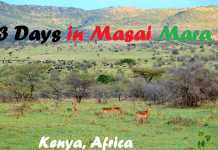 Our 3-day-Safari Experience in Maasai Mara