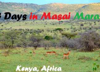 Our 3-day-Safari Experience in Maasai Mara