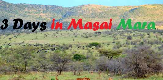 Our 3-day-Safari Experience in Maasai Mara