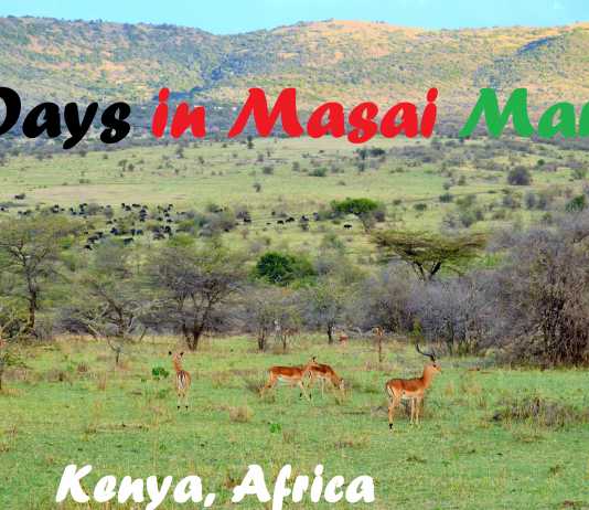 Our 3-day-Safari Experience in Maasai Mara