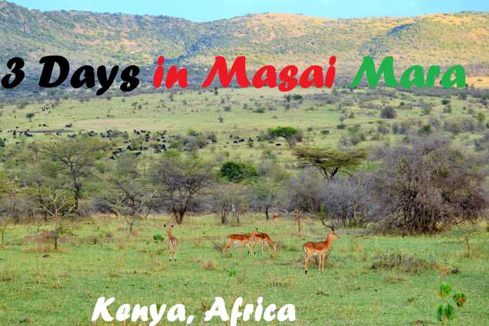 Our 3-day-Safari Experience in Maasai Mara