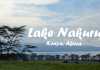 Lake Nakuru National Park