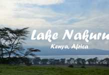 Lake Nakuru National Park