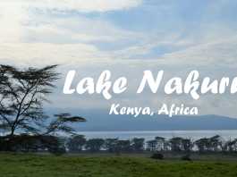 Lake Nakuru National Park