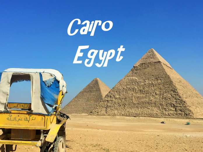 A Taste of Egyptian Hospitality in Cairo, Egypt