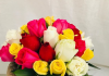 Where to Get Ideas for Your Next Hand Bouquet Designs