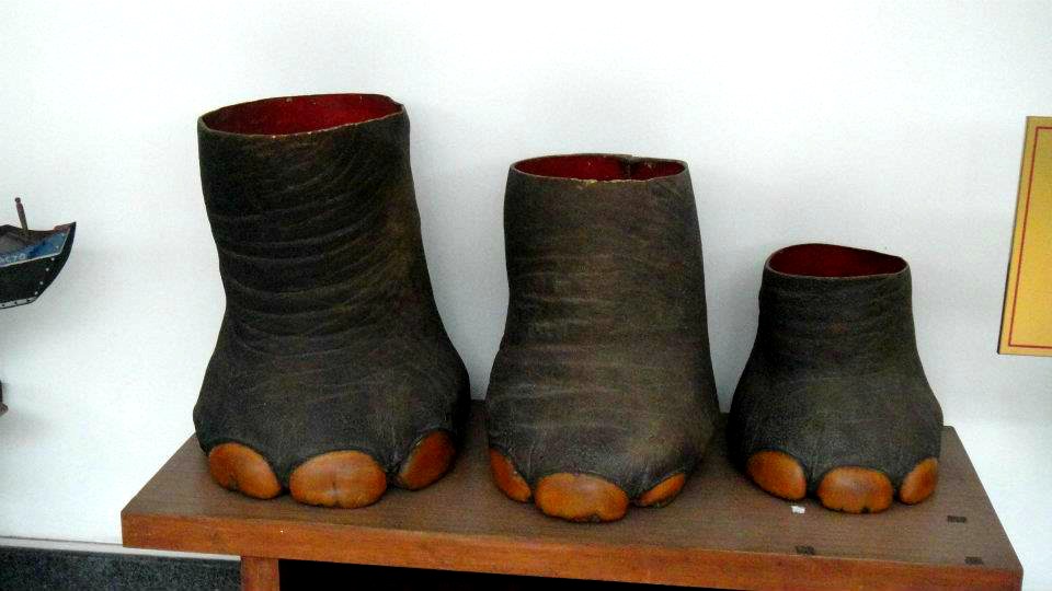 Real Elephant's Feet at the Reunification Palace VIETNAM 5