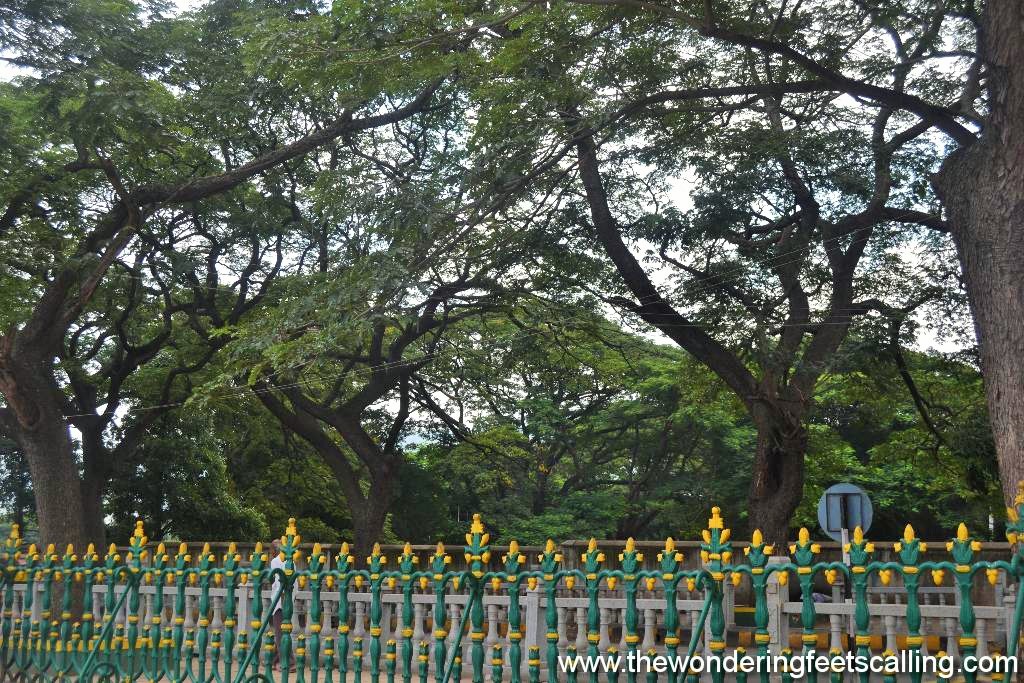 mysore street (2)