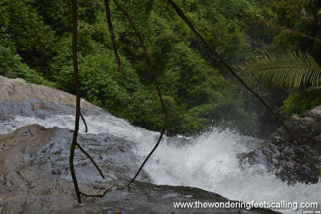 thusharagiri falls 3